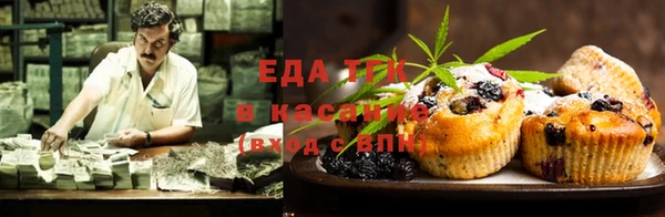 крисы Инсар