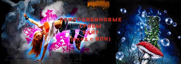 молекула духа Инта