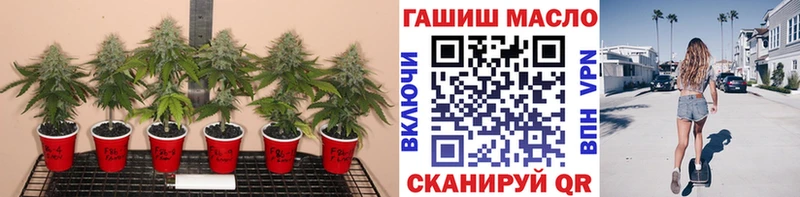 Купить  Томари  ТГК THC oil 